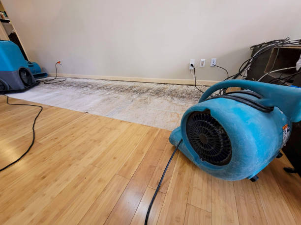 Professional Water Removal technician working in Odonnell, TX